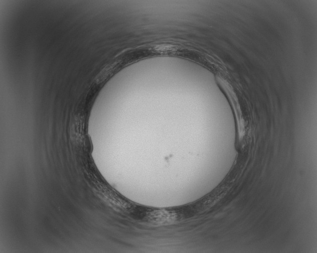 X0000083000421200702230132