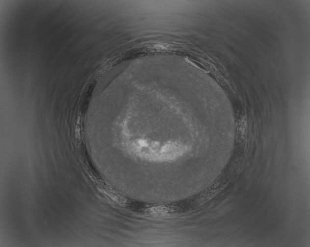 X0000083000423200702230132