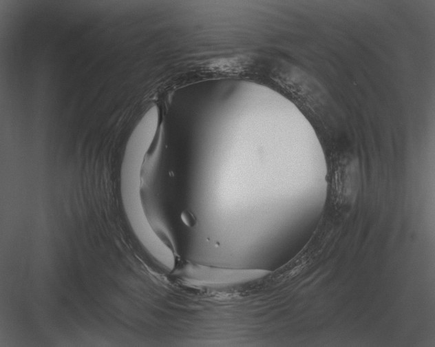 X0000083000424200702230132