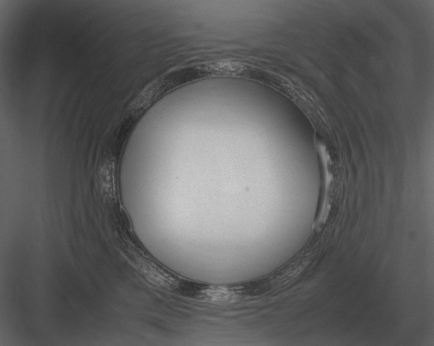 X0000083000425200702230132