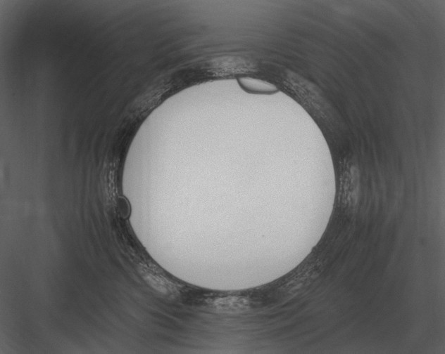 X0000083000426200702230132