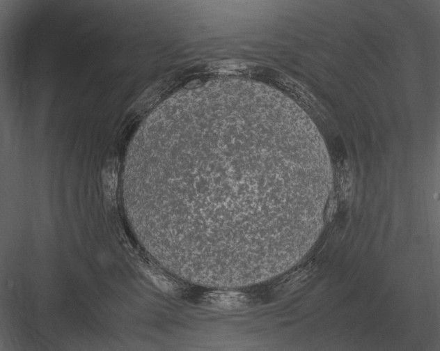 X0000083000427200702230132