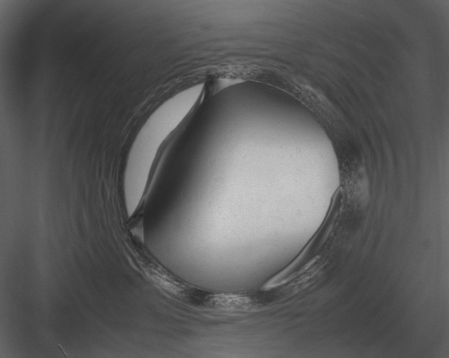 X0000083000429200702230131