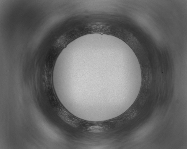 X0000083000430200702230131