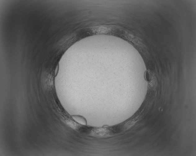 X0000083000431200702230131