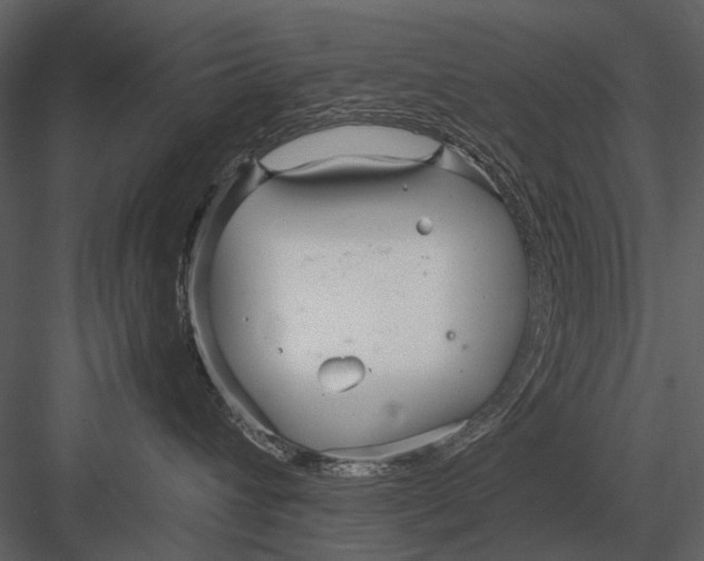 X0000083000432200702230131