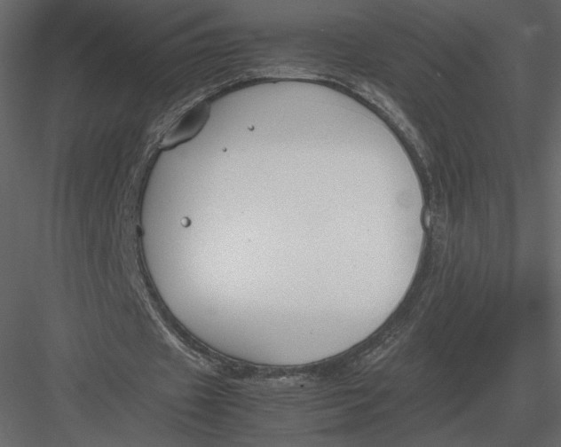 X0000083000433200702230131