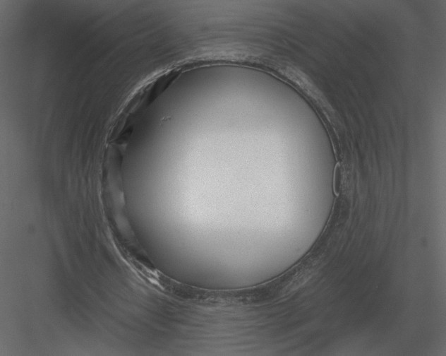 X0000083000434200702230131