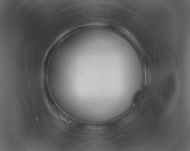 X0000083000435200702230131