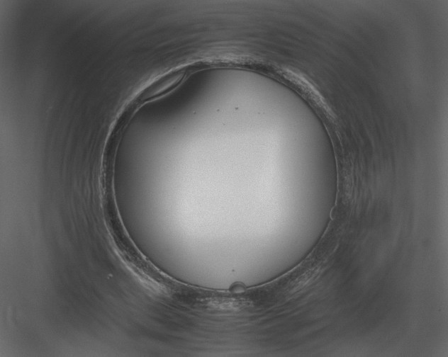 X0000083000439200702230131