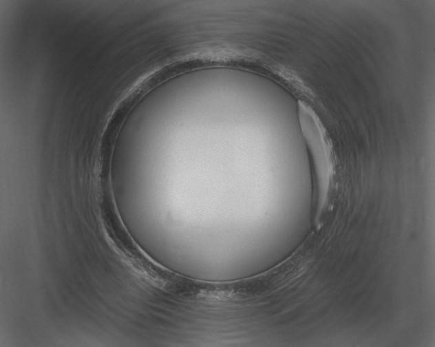 X0000083000440200702230131