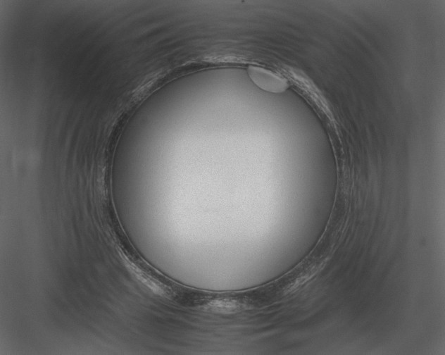 X0000083000441200702230131