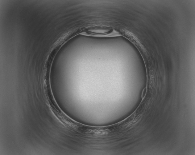 X0000083000443200702230131