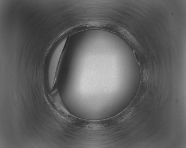 X0000083000444200702230131