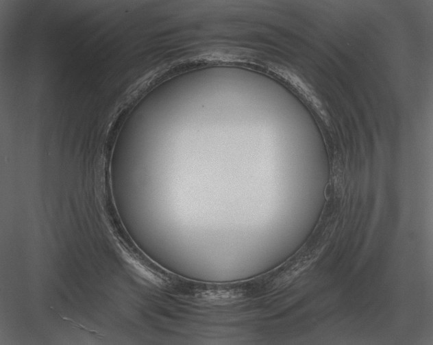 X0000083000445200702230131