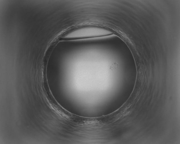 X0000083000446200702230131