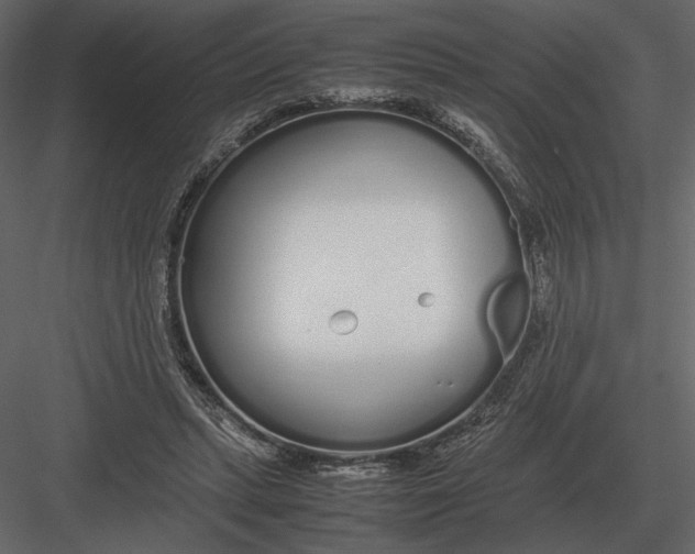 X0000083000447200702230131