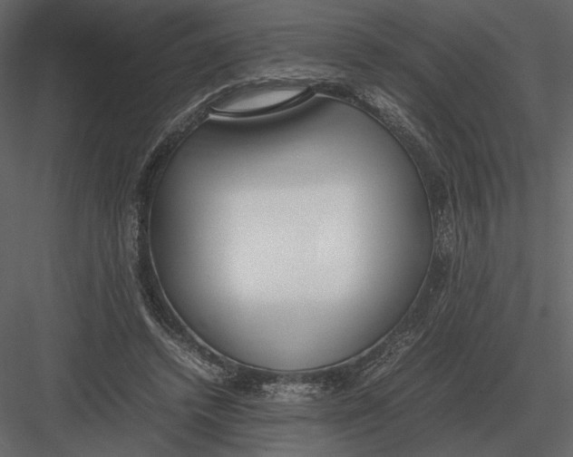 X0000083000448200702230131