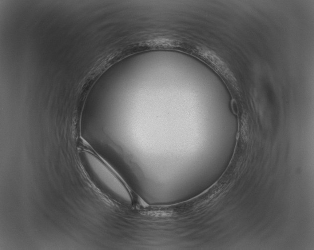 X0000083000449200702230131