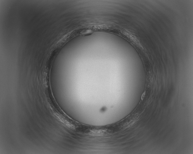 X0000083000450200702230131