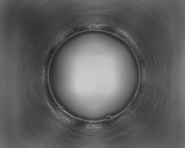 X0000083000451200702230131