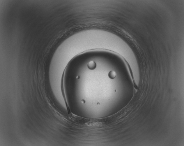 X0000083000452200702230131