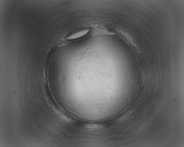 X0000083000453200702230131