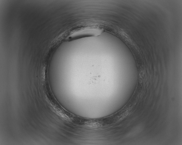 X0000083000454200702230131