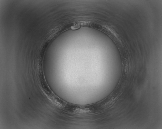 X0000083000455200702230131