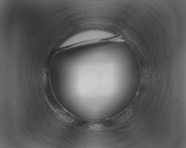 X0000083000456200702230131