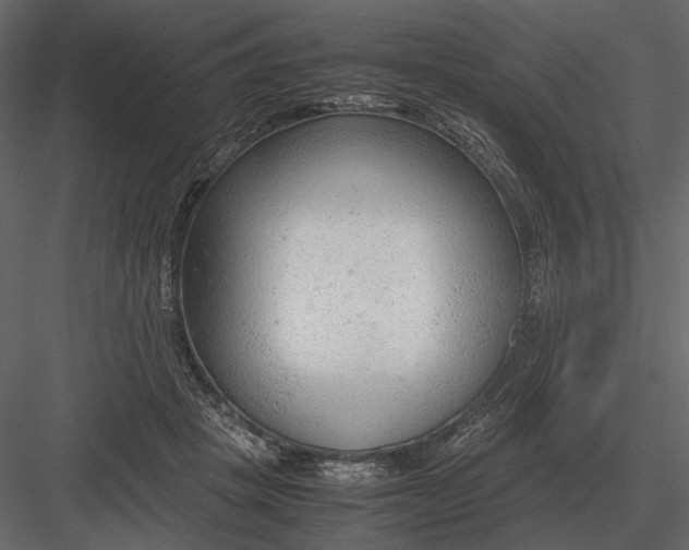 X0000083000457200702230131