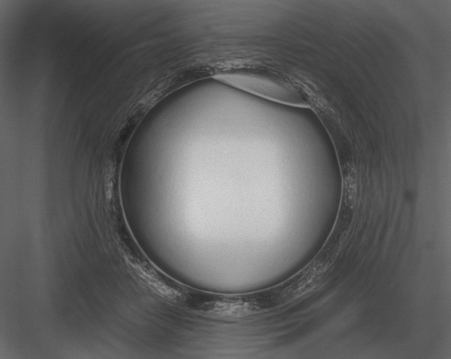 X0000083000458200702230131