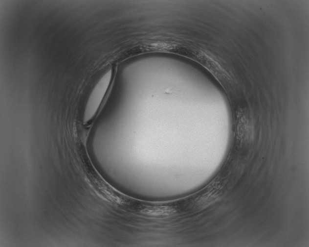 X0000083000459200702230131