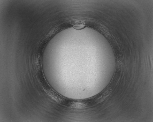 X0000083000460200702230131