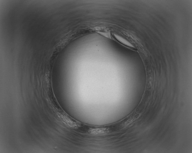 X0000083000461200702230131