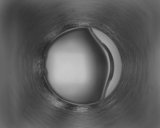 X0000083000462200702230131