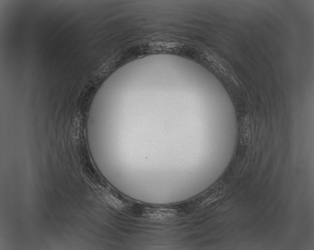 X0000083000463200702230131