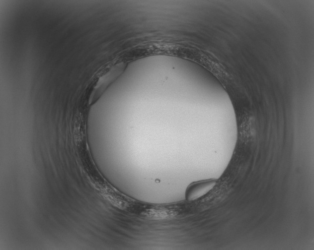 X0000083000464200702230131