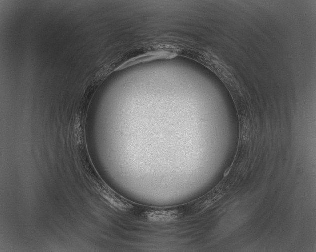 X0000083000465200702230131