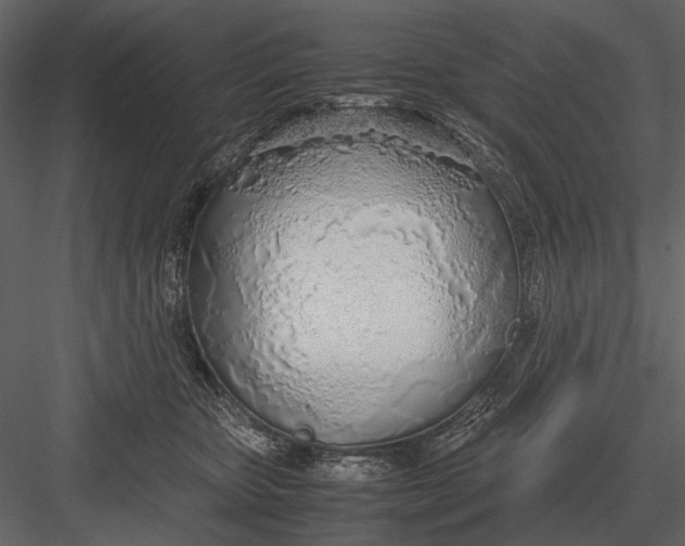 X0000083000467200702230131