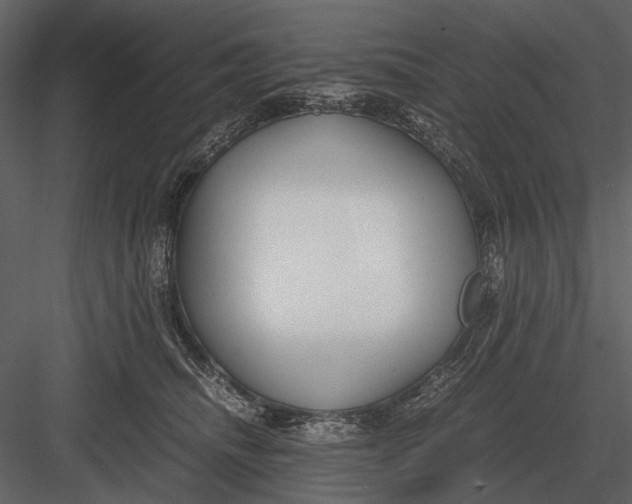 X0000083000468200702230131