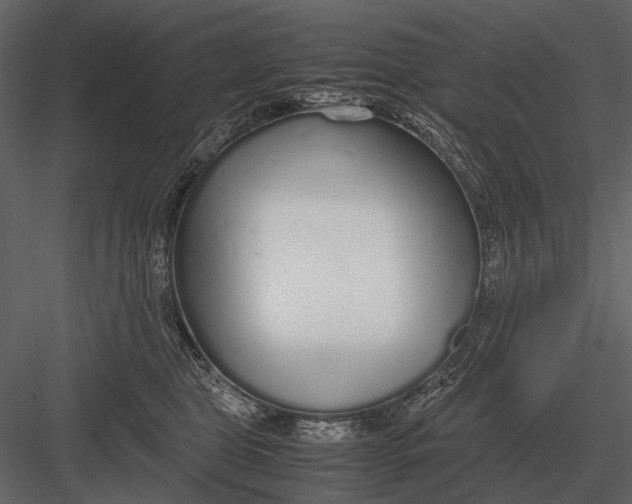 X0000083000469200702230131