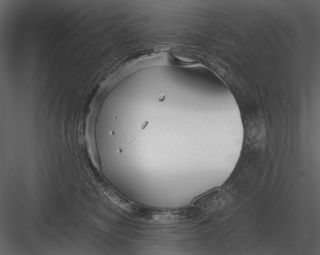 X0000083000470200702230131