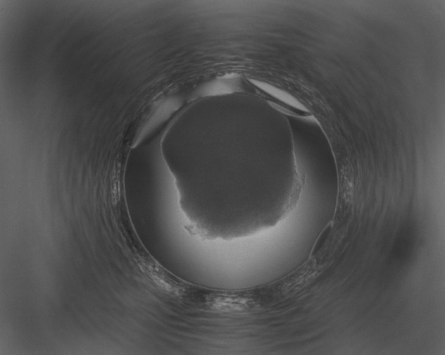 X0000083000471200702230131