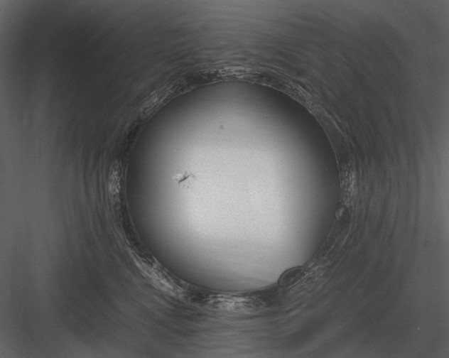 X0000083000472200702230131