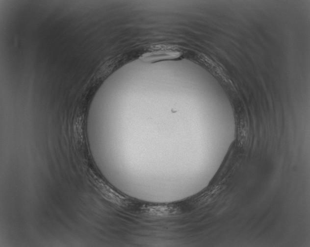 X0000083000473200702230131