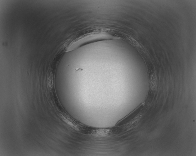 X0000083000474200702230131