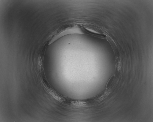 X0000083000476200702230131