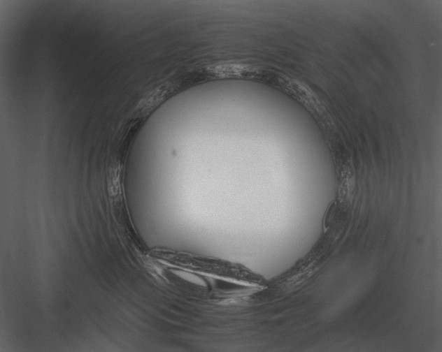 X0000083000477200702230131