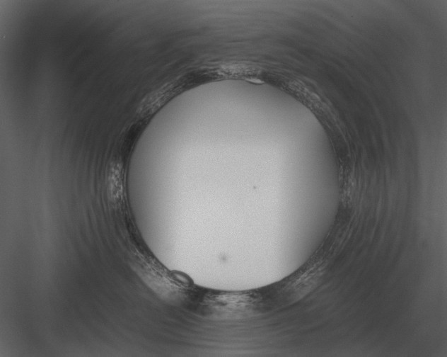 X0000083000478200702230131